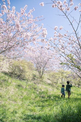 2021 Apr. 一の谷