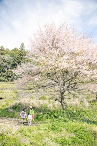 2022 Apr. 東石原