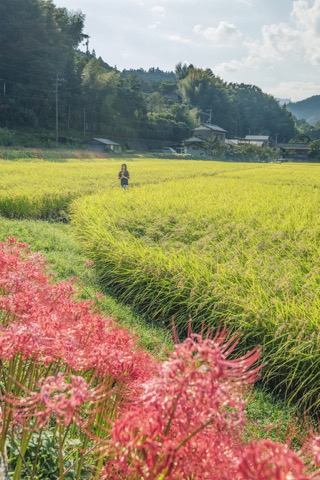 2022 Sept. 田井