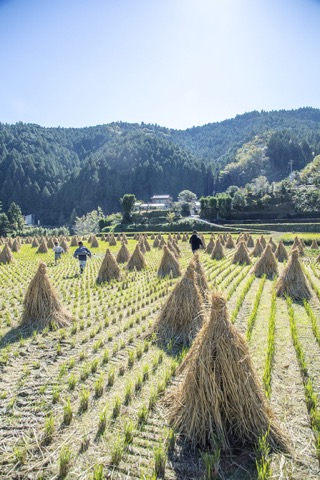 2022 Oct. 駒野