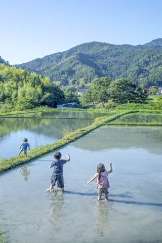2023 June 田井