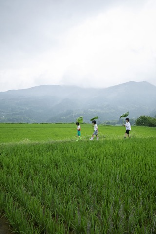 2023 July 溜井