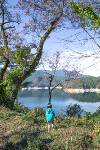 2023 Nov. さめうらダム湖