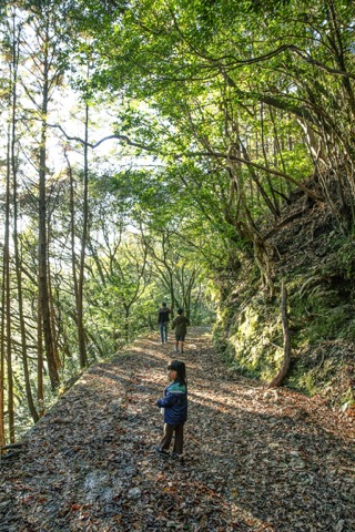 2023 Nov. 田井