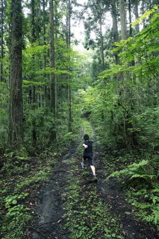 2024 June 田井山